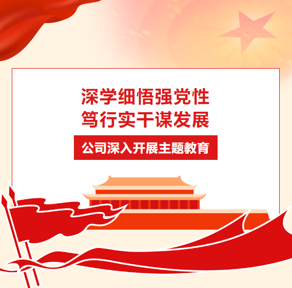 深學(xué)細(xì)悟強(qiáng)黨性 篤行實(shí)干謀發(fā)展 | 公司深入開展主題教育
